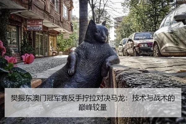 fan-zhen-dong-ao-men-guan-jun-sai-fan-shou-ning-la-dui-jue-ma-long-ji-shu-yu-zhan-shu-de-dian-feng-jiao-liang-3-951.jpg