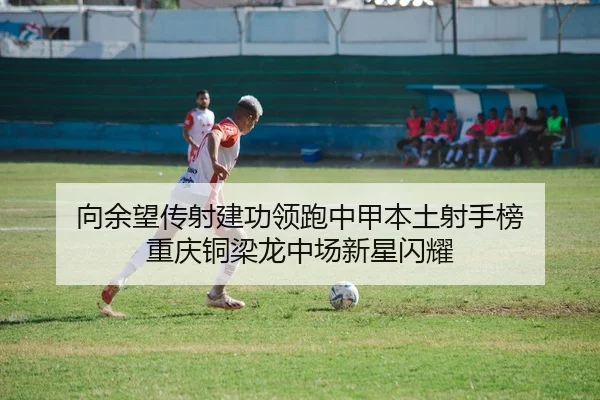 xiang-yu-wang-chuan-she-jian-gong-ling-pao-zhong-jia-ben-tu-she-shou-bang-chong-qing-tong-liang-long-zhong-chang-xin-2-537.jpg